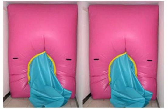 點擊查看詳細信息<br>標題：快速封堵氣囊 閱讀次數(shù)：2844