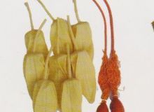 點擊查看詳細信息<br>標題：取氣樣球膽 閱讀次數(shù)：306